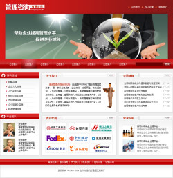 管理咨询公司网站-2056