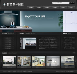 整体厨房公司网站-4303