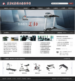 运动器材公司网站-4314