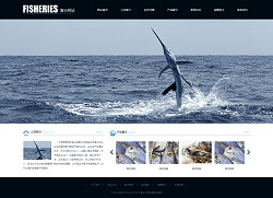 渔业公司网站(全屏)-3159
